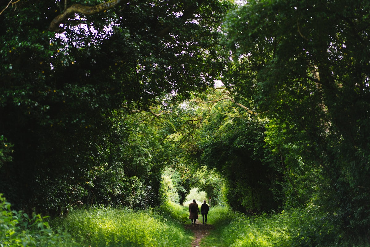 Meditation practices for mental clarity